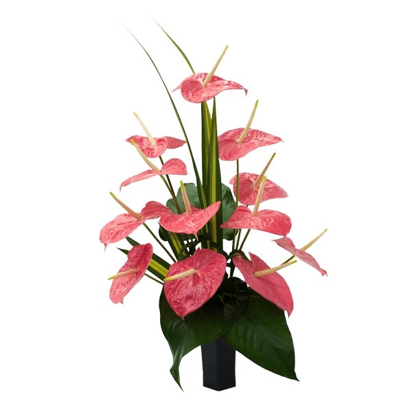 anthurium flower arrangement ideas Anthurium Pink Vase Arrangement – RedFlowersnGifts.com