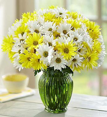 Chrysanthemum Arrangment 5 - Redflowersngifts.com