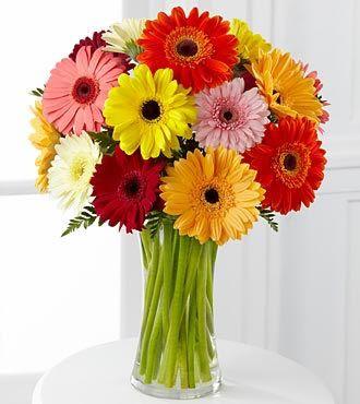 Gerbera Bouquet 10 - Redflowersngifts.com