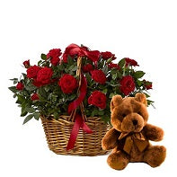 24 Red Roses in a Basket with Bear