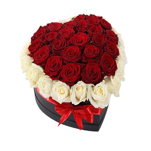 4 dz. Red & White Roses
