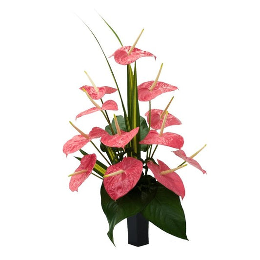 Anthurium Arrangement 4 - Redflowersngifts.com