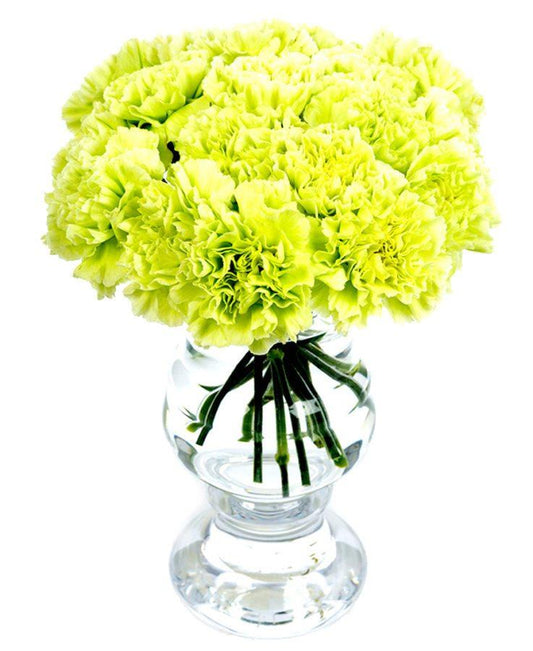 Carnation vase 6 - Redflowersngifts.com