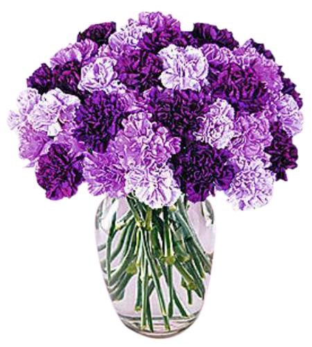 Carnation Vase 8 - Redflowersngifts.com