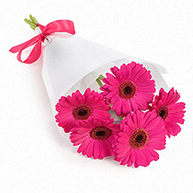 Gerbera Bouquet 5 - Redflowersngifts.com