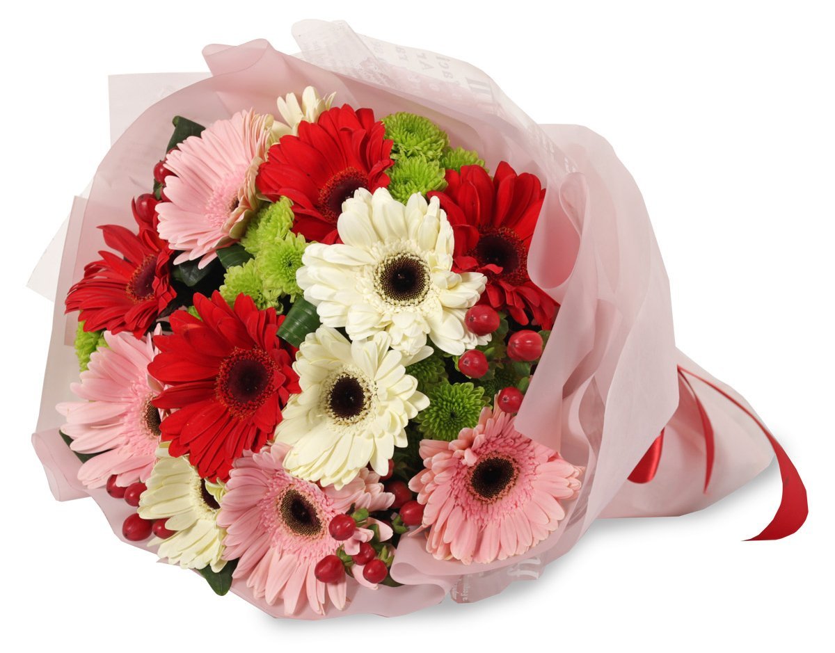 Gerbera Bouquet - Redflowersngifts.com