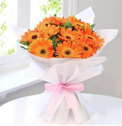 Gerbera Bouquet 9 - Redflowersngifts.com