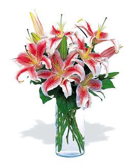 Lilies vase 7 - Redflowersngifts.com