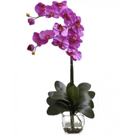 Orchid in Vase - Redflowersngifts.com