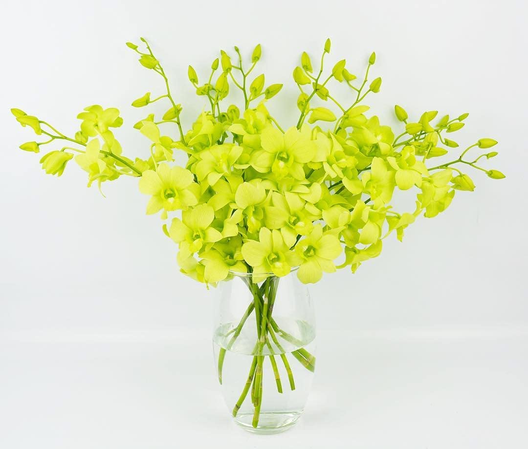 Orchids Vase 3 - Redflowersngifts.com