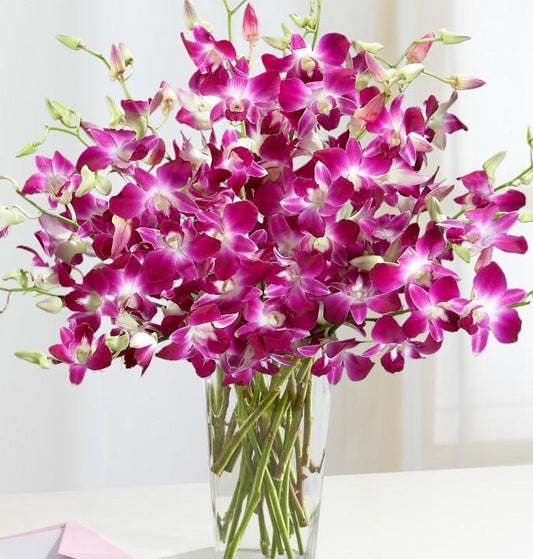 Orchids Vase 5 - Redflowersngifts.com
